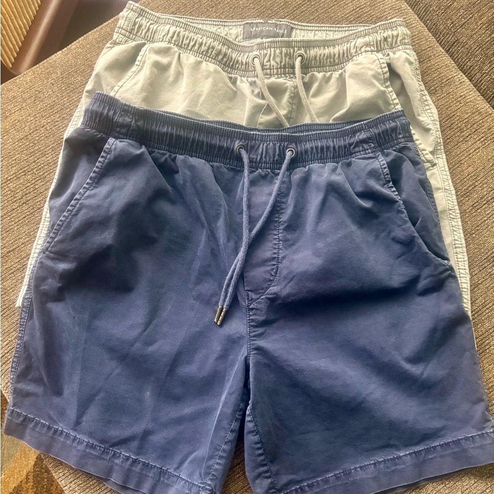AE MENS FLEX SHORTS LIVED IN